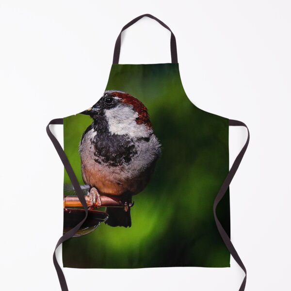 Item preview, A House Sparrow Perched On Bird Feeder designed and sold by FreelanceJim.