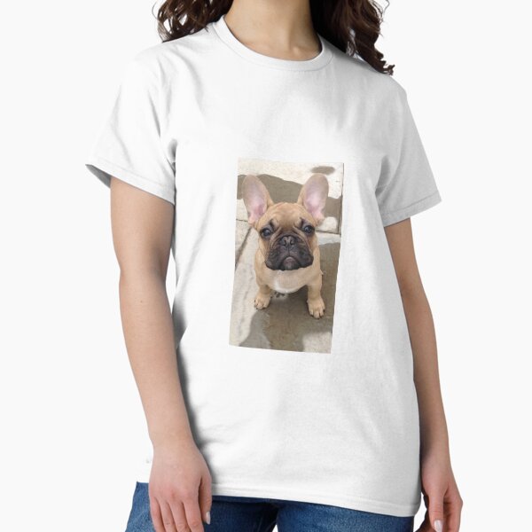 Aperçu de l'œuvre Chiot bouledogue français créée et vendue par robbo1441.
