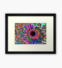 Colours Framed Print