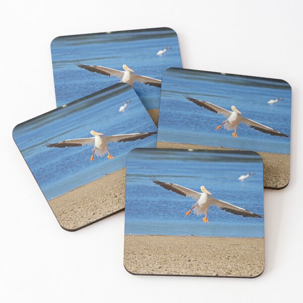 Item preview, Pelican Prowess  designed and sold by Michiale.