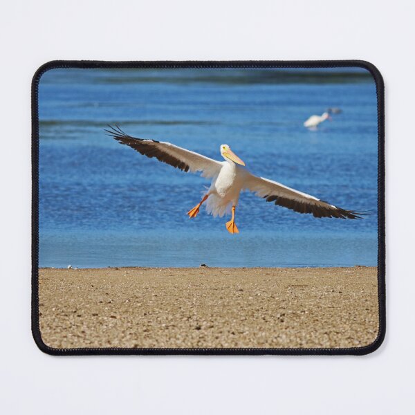 Item preview, Pelican Prowess designed and sold by Michiale.