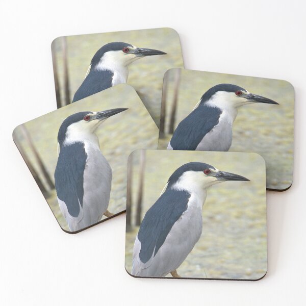 Item preview, Black Capped Night Heron designed and sold by Drgnfly4free.