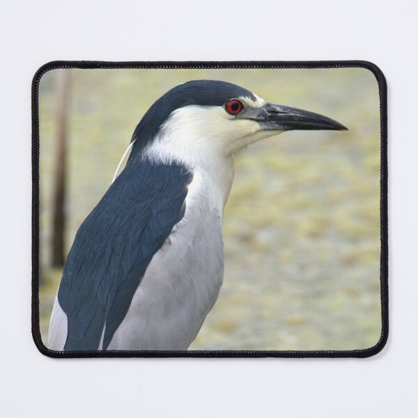 Item preview, Black Capped Night Heron designed and sold by Drgnfly4free.