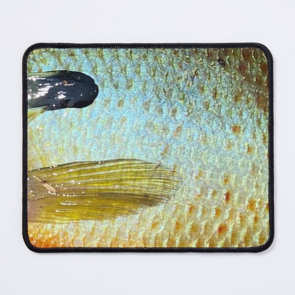 Item preview, Sunfish Skin (Natural) Fish Scale Pattern designed and sold by CJRPics.