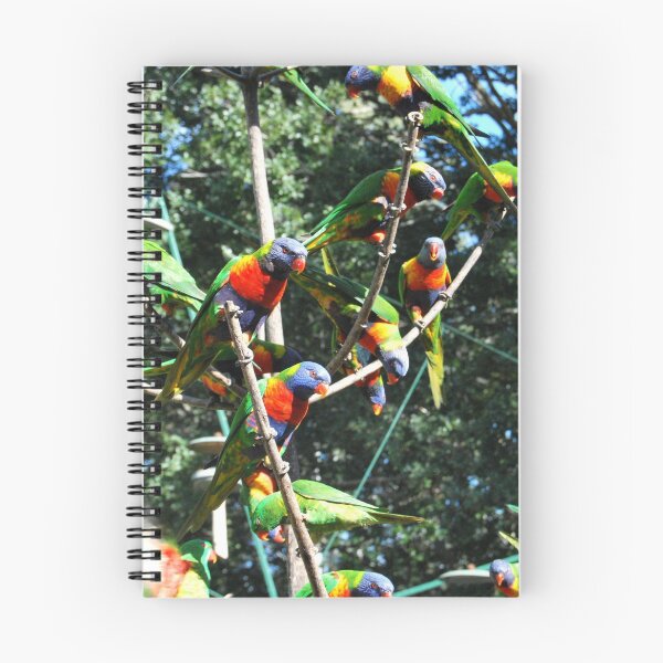 Item preview, Rainbow lorikeets on the lookout for a feed designed and sold by Kerry LeBoutillier.