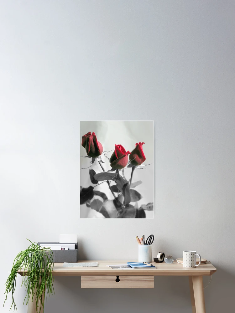Thumbnail 2 of 3, Poster, Red Roses designed and sold by Luis Correia.