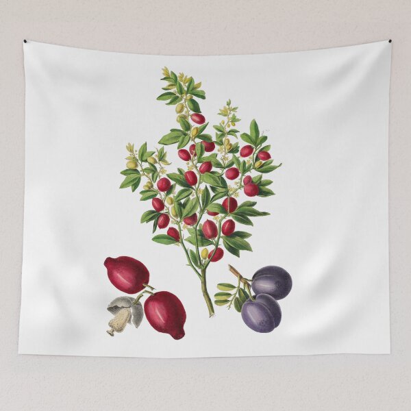 Item preview, FF - Citrus - Trifoliata designed and sold by imageresource.