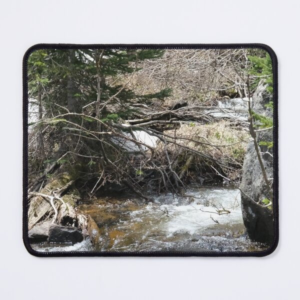 Item preview, Trees in the Rockies designed and sold by Haley-Marshall.