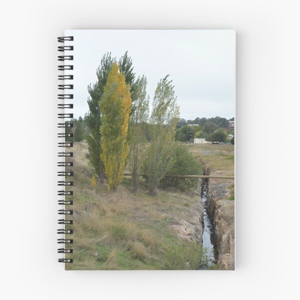 Item preview, Silver Creek - Beechworth designed and sold by Kerry LeBoutillier.