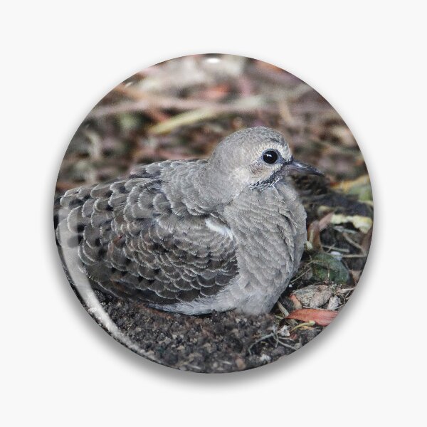 Item preview, I Left the Nest, So This is Goodbye  designed and sold by heatherfriedman.