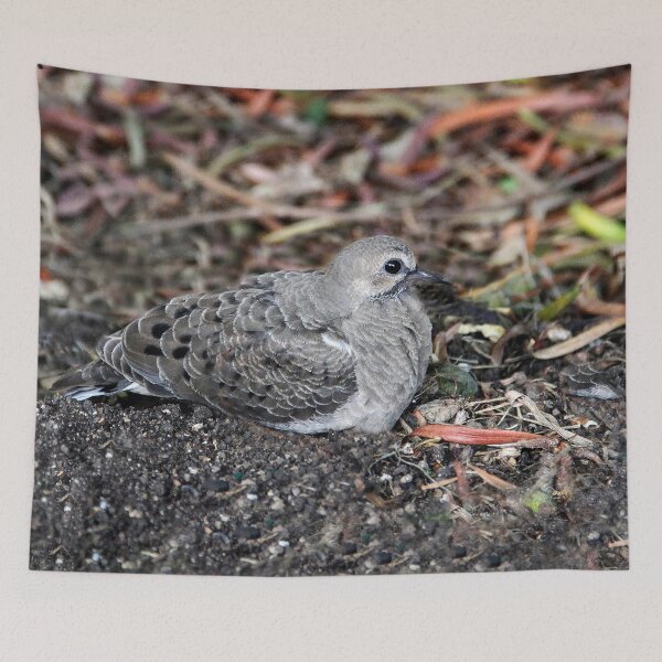 Item preview, I Left the Nest, So This is Goodbye  designed and sold by heatherfriedman.