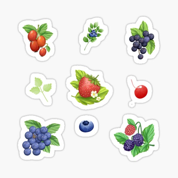 Artikel-Vorschau von Aquarell-Sammlung gemischter Beeren, designt und verkauft von silviaol.