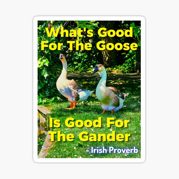 "Irish Proverb What's Good For The Goose Is Good For The Gander IrishProverbs" Sticker for