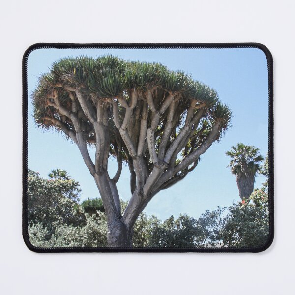 Item preview, Above La Jolla Cove, California designed and sold by heatherfriedman.