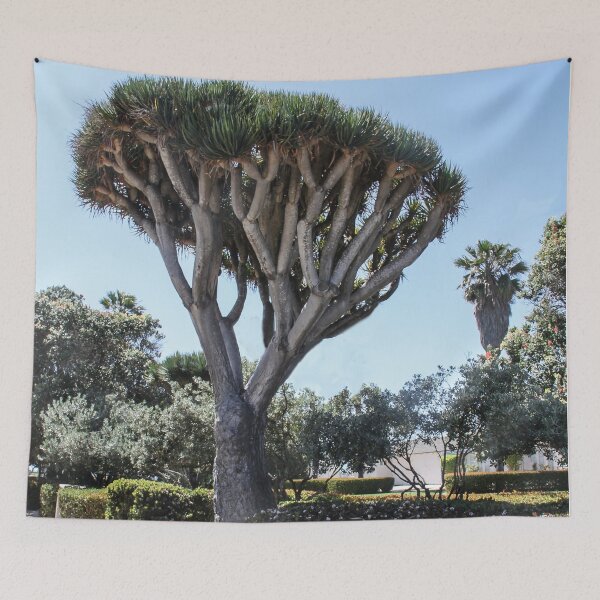 Item preview, Above La Jolla Cove, California designed and sold by heatherfriedman.