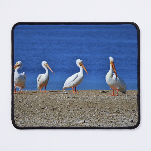 Item preview, The Final Four  designed and sold by Michiale.