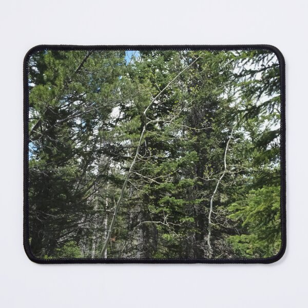 Item preview, Rocky Mountain National Park designed and sold by Haley-Marshall.
