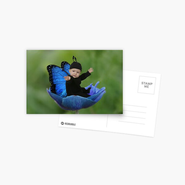 Take Off Postcard