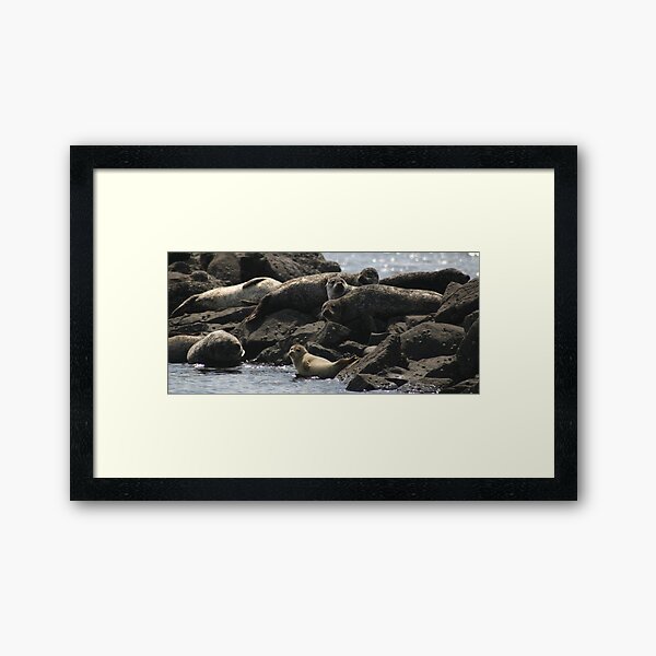Relaxation Framed Art Print
