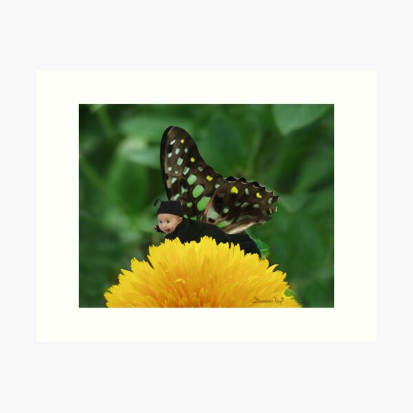 Happy Landing Art Print