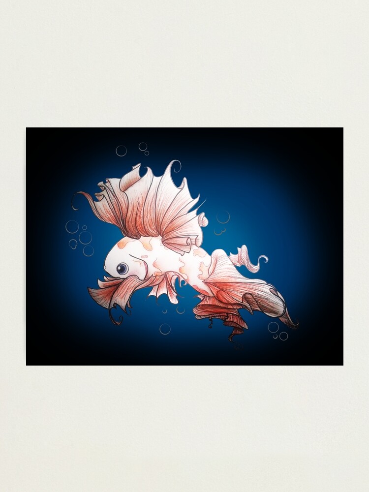 Pretty Little Koi Fish Photographic Print for Sale by OddFiction