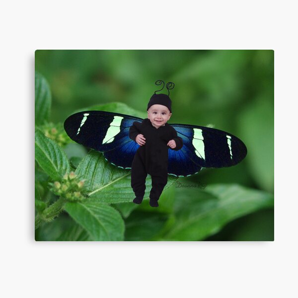 Swoop Canvas Print