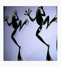 Frog plaques on wall of gift shop Photographic Print