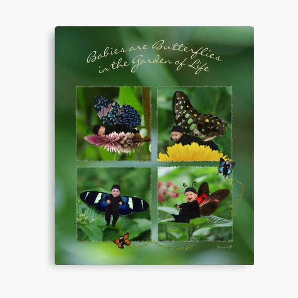 Babies Are Butterflies in the Garden of Life Canvas Print