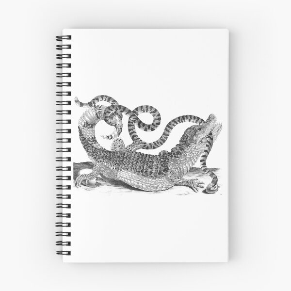 Item preview, Vintage Crocodile vs Snake engraving designed and sold by jgmorga3.