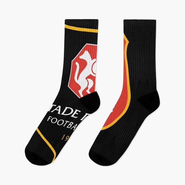 Aperçu de l'œuvre Stade Rennais FC créée et vendue par AmelBrandenbur.