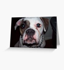 bullie Greeting Card