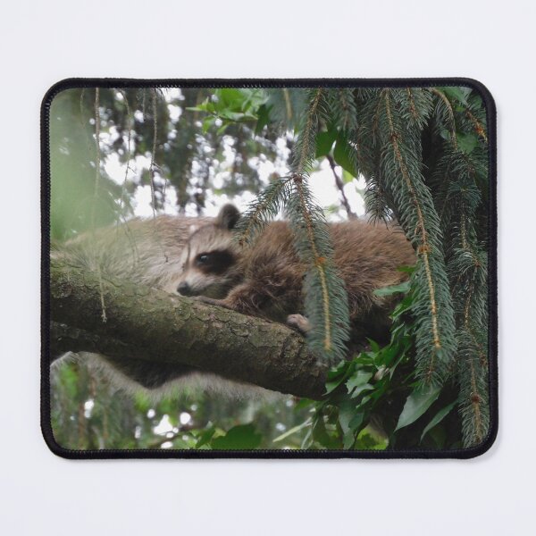 Item preview, momma and Baby in a tree designed and sold by Zarabeaver.