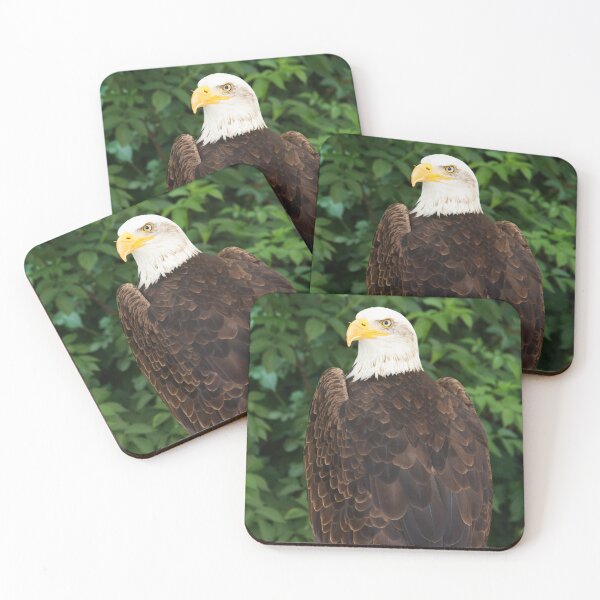 Item preview, An eagle designed and sold by mistyrose.