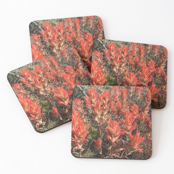 Item preview, Indian Paintbrush Oregon designed and sold by EbionRae.