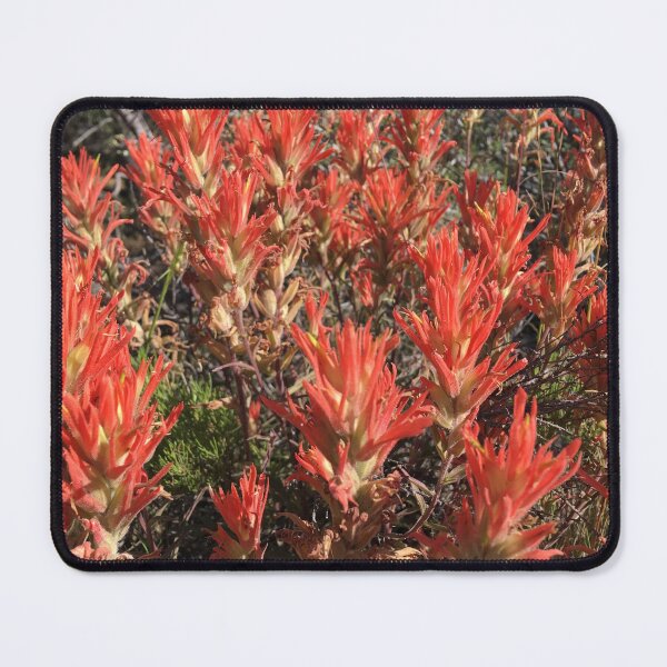 Item preview, Indian Paintbrush Oregon designed and sold by EbionRae.