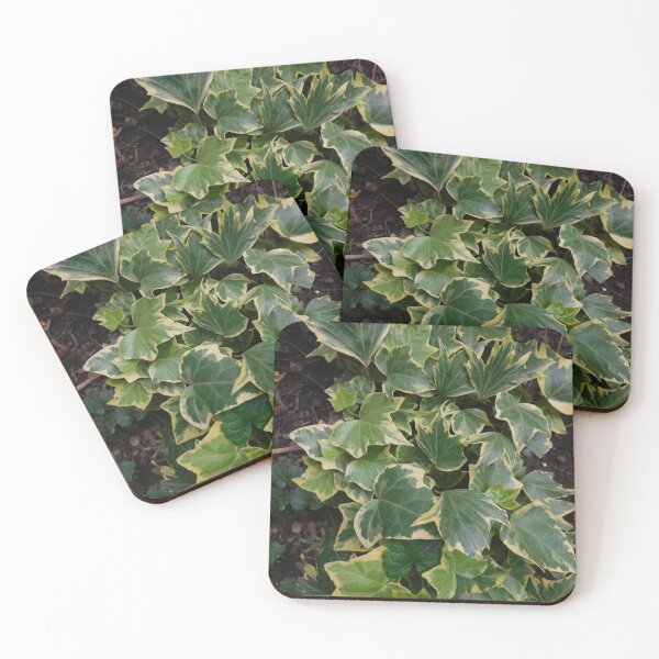Item preview, Summer Green is gorgeous designed and sold by Zarabeaver.