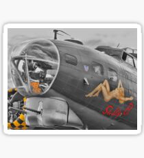 Sally "B" HDR Sticker
