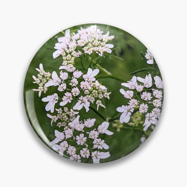 Item preview, Cilantro  designed and sold by arfff.