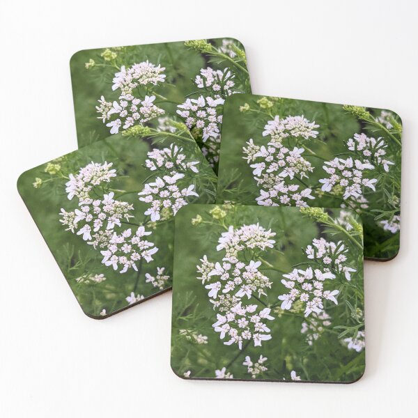Item preview, Cilantro  designed and sold by arfff.