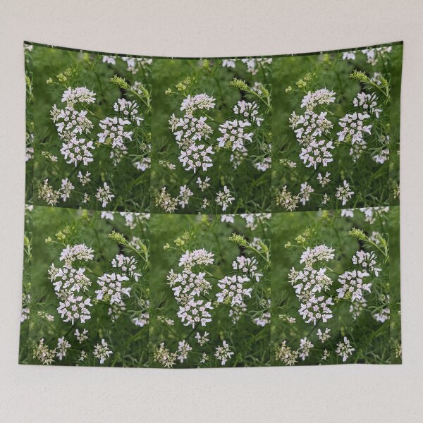 Item preview, Cilantro  designed and sold by arfff.