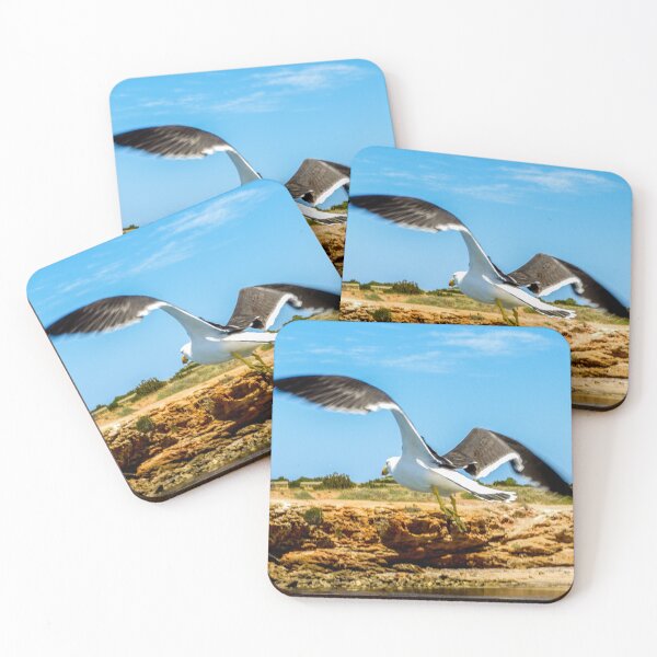 Item preview, Pacific gull in flight designed and sold by indiafrankk.