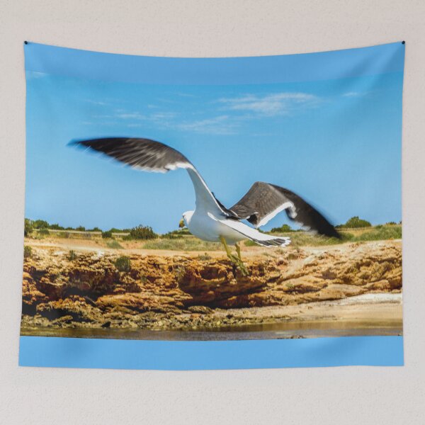 Item preview, Pacific gull in flight designed and sold by indiafrankk.