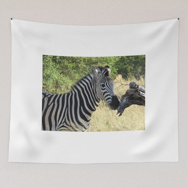 Item preview, Young Zebra designed and sold by katiemarieco.