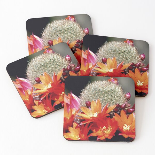 Item preview, cactus flower, A Beautiful cactus flower, minimal cactus flower designed and sold by sama-stylish.