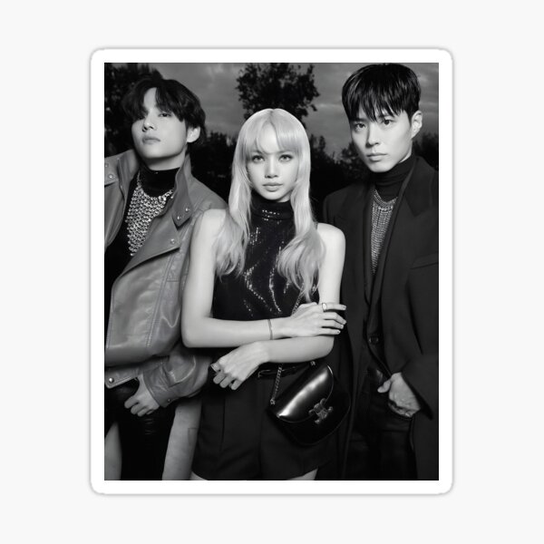 "V (Taehyung), LISA, Park Bogum" Sticker for Sale by mondongos | Redbubble