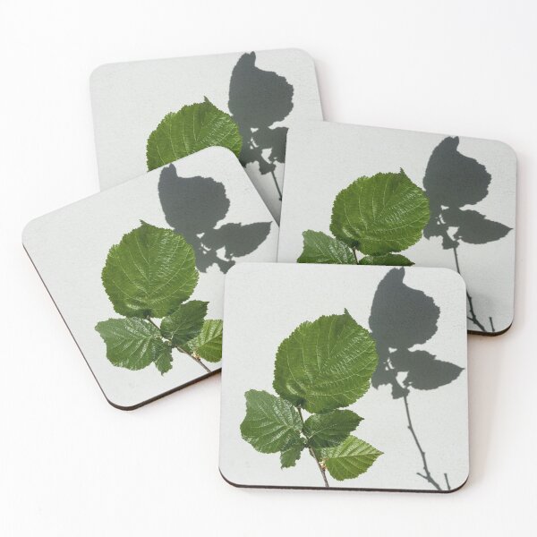 Item preview, Sophisticated Shadows - Glossy Hazelnut Leaves on White Stucco - Vertical View Upwards Right designed and sold by Georgia Mizuleva.
