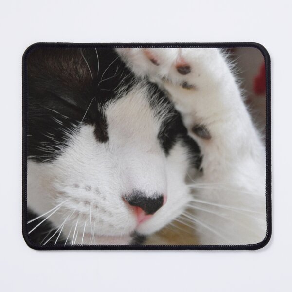 Item preview, It's a CATastrophe! designed and sold by DonnaM.