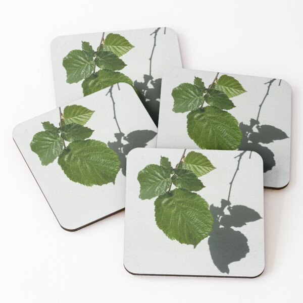 Item preview, Sophisticated Shadows - Glossy Hazelnut Leaves on White Stucco - Vertical View Down Right designed and sold by Georgia Mizuleva.