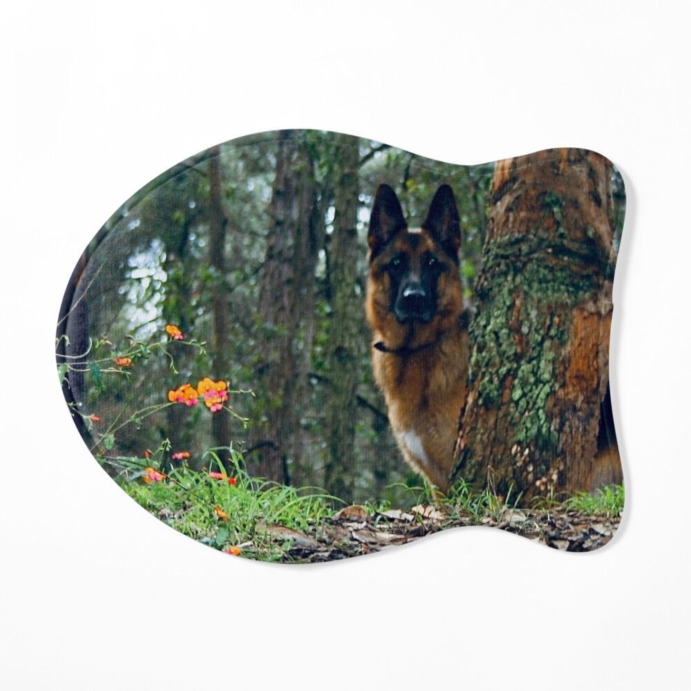 German Shepherd Resting  Jigsaw Puzzle for Sale by Nicola Morgan