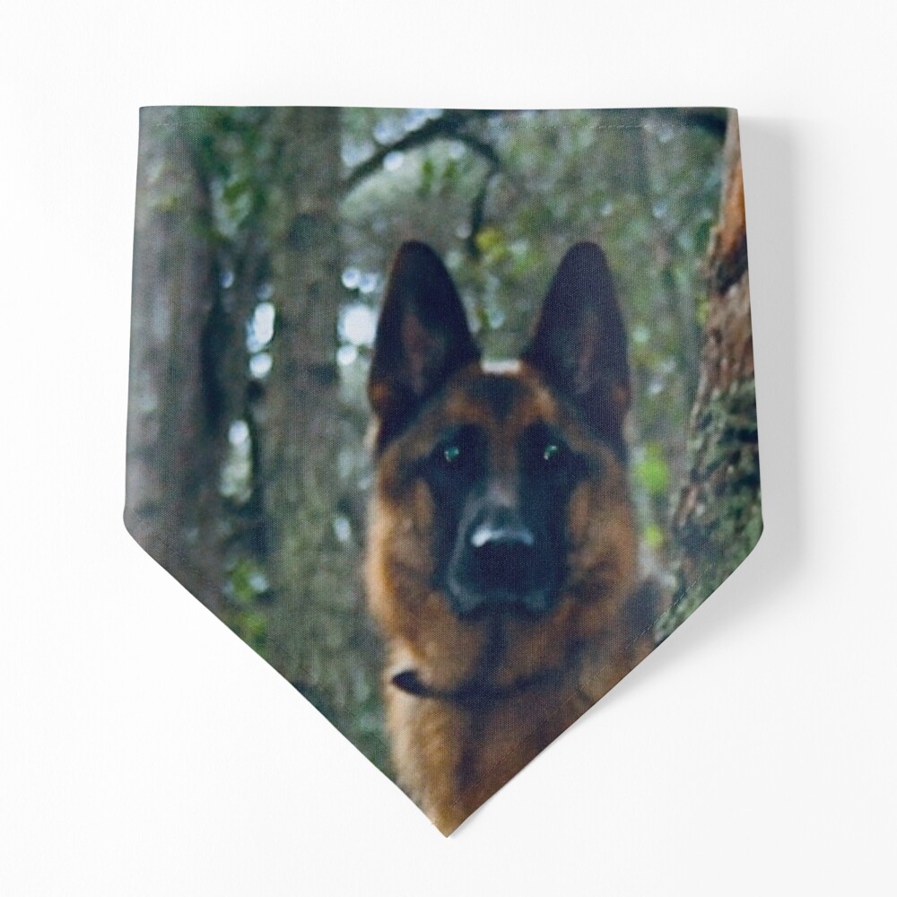 German Shepherd Resting  Jigsaw Puzzle for Sale by Nicola Morgan